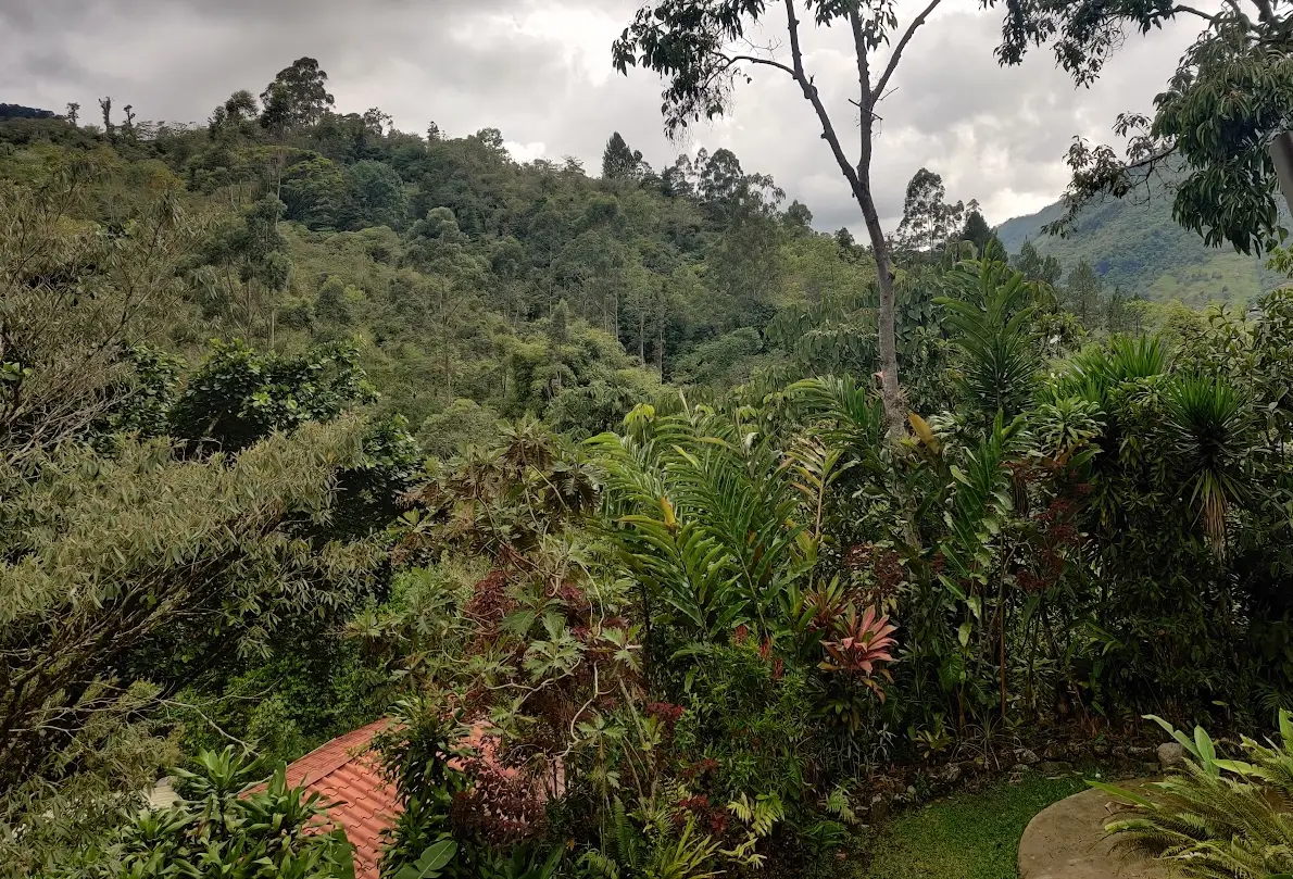 Lush forested highlands beneath a cloudy sky